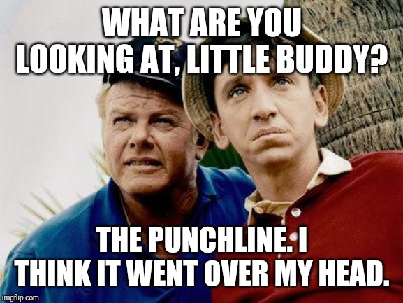Gilligans Island | WHAT ARE YOU LOOKING AT, LITTLE BUDDY? THE PUNCHLINE. I THINK IT WENT OVER MY HEAD. | image tagged in gilligans island | made w/ Imgflip meme maker