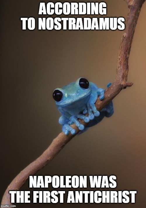 small fact frog | ACCORDING TO NOSTRADAMUS NAPOLEON WAS THE FIRST ANTICHRIST | image tagged in small fact frog | made w/ Imgflip meme maker