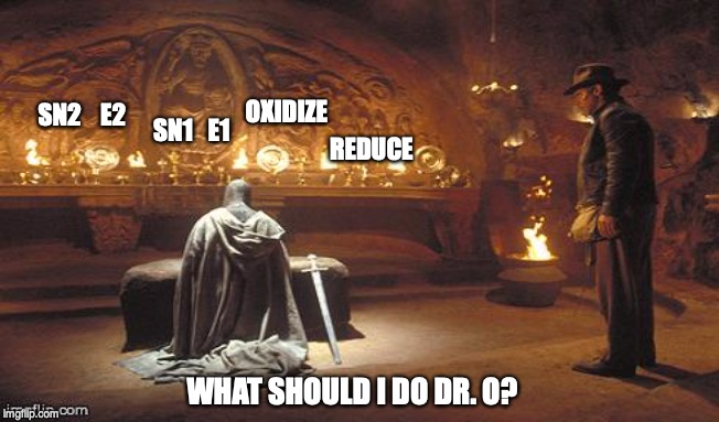 Choose Wisely | OXIDIZE; SN1   E1; SN2    E2; REDUCE; WHAT SHOULD I DO DR. O? | image tagged in choose wisely | made w/ Imgflip meme maker