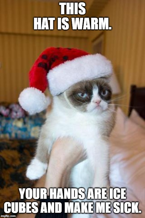 Grumpy Cat Christmas | THIS HAT IS WARM. YOUR HANDS ARE ICE CUBES AND MAKE ME SICK. | image tagged in memes,grumpy cat christmas,grumpy cat | made w/ Imgflip meme maker