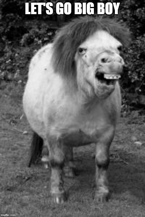 ugly horse | LET'S GO BIG BOY | image tagged in ugly horse | made w/ Imgflip meme maker