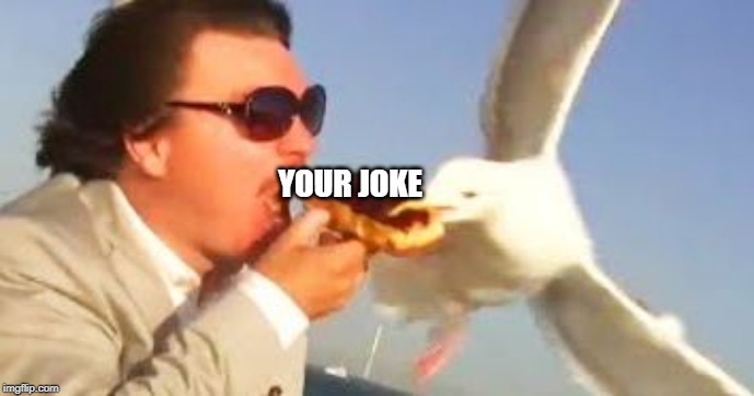 swiping seagull | YOUR JOKE | image tagged in swiping seagull | made w/ Imgflip meme maker