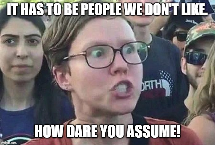 Triggered Liberal | IT HAS TO BE PEOPLE WE DON'T LIKE. HOW DARE YOU ASSUME! | image tagged in triggered liberal | made w/ Imgflip meme maker