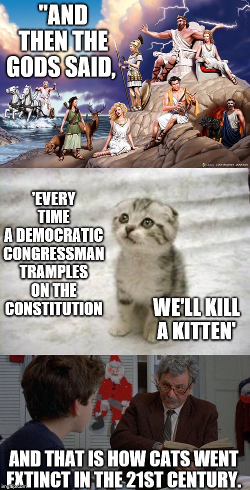 poor kittens | "AND THEN THE GODS SAID, 'EVERY TIME A DEMOCRATIC CONGRESSMAN TRAMPLES ON THE CONSTITUTION; WE'LL KILL A KITTEN'; AND THAT IS HOW CATS WENT EXTINCT IN THE 21ST CENTURY. | image tagged in memes,sad cat,greek gods,fred savage princess bride,democrats,trample constitution | made w/ Imgflip meme maker