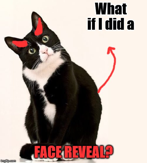 Maybe.... | What if I did a; FACE REVEAL? | image tagged in tuxedo cat,face reveal | made w/ Imgflip meme maker