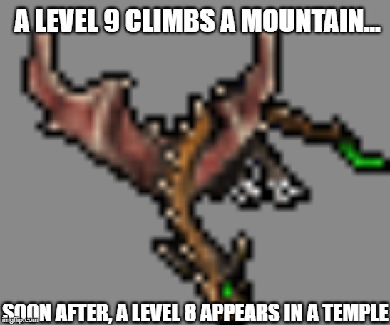 A LEVEL 9 CLIMBS A MOUNTAIN... SOON AFTER, A LEVEL 8 APPEARS IN A TEMPLE | image tagged in mmorpg | made w/ Imgflip meme maker