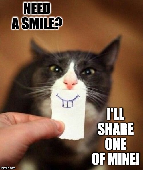 Free Smiles! | NEED A SMILE? I'LL SHARE ONE OF MINE! | image tagged in smile,cats,cute cat | made w/ Imgflip meme maker