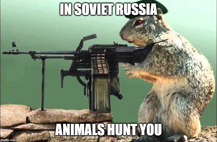 animals hunt you | IN SOVIET RUSSIA; ANIMALS HUNT YOU | image tagged in funny,memes,in soviet russia,soviet russia,squirrel,animals | made w/ Imgflip meme maker
