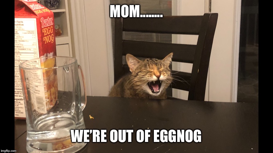 MOM........ WE’RE OUT OF EGGNOG | image tagged in cats | made w/ Imgflip meme maker