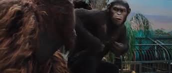 apes strong together meme