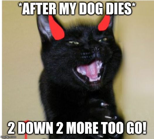 Also meme pic goes to Ememeon just couldn't find a better one | *AFTER MY DOG DIES*; 2 DOWN 2 MORE TOO GO! | made w/ Imgflip meme maker