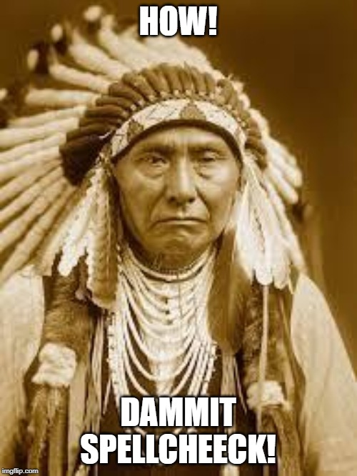 Native American | HOW! DAMMIT SPELLCHEECK! | image tagged in native american | made w/ Imgflip meme maker