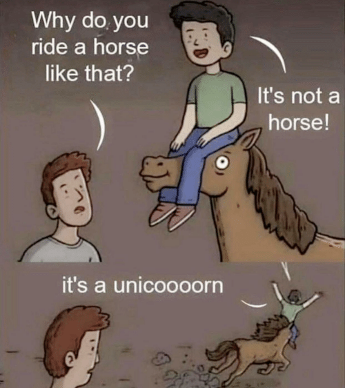 Why do you ride a horse like that? Blank Meme Template