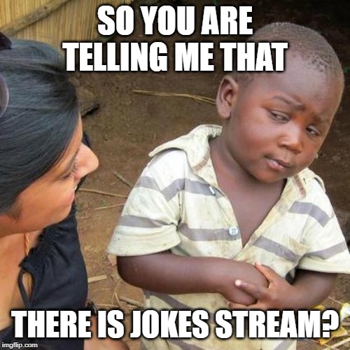 Third World Skeptical Kid Meme | SO YOU ARE TELLING ME THAT; THERE IS JOKES STREAM? | image tagged in memes,third world skeptical kid | made w/ Imgflip meme maker