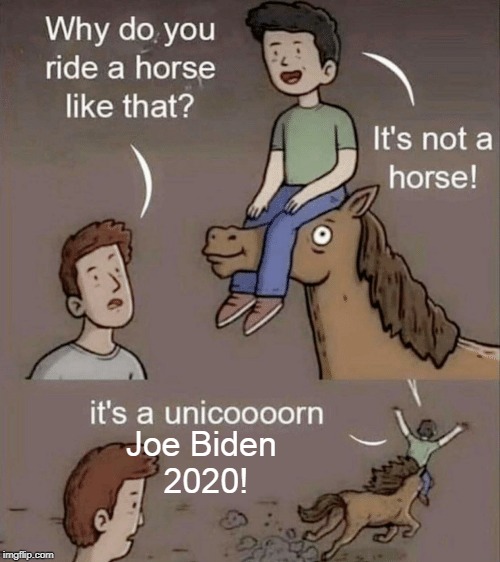 Why do you ride a horse like that? | Joe Biden 
2020! | image tagged in why do you ride a horse like that,joe biden 2020,joe biden,democrats,unicorn,memes | made w/ Imgflip meme maker