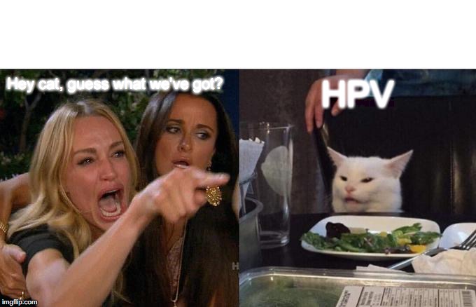Woman Yelling At Cat Meme | Hey cat, guess what we've got? HPV | image tagged in memes,woman yelling at cat | made w/ Imgflip meme maker