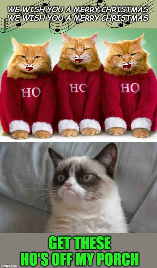 Caroling Cats | WE WISH YOU A MERRY CHRISTMAS WE WISH YOU A MERRY CHRISTMAS; GET THESE HO'S OFF MY PORCH | image tagged in grumpy cat,merry christmas,christmas carol,cats,funny cats,happy holidays | made w/ Imgflip meme maker