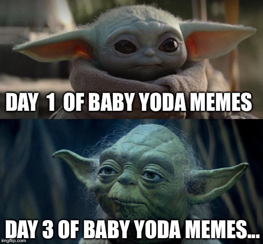 Yoda and Jr | DAY  1  OF BABY YODA MEMES; DAY 3 OF BABY YODA MEMES... | image tagged in yoda and jr | made w/ Imgflip meme maker