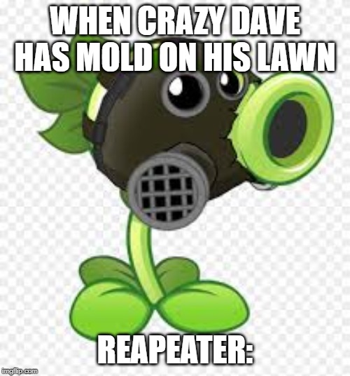 WHEN CRAZY DAVE HAS MOLD ON HIS LAWN; REAPEATER: | made w/ Imgflip meme maker