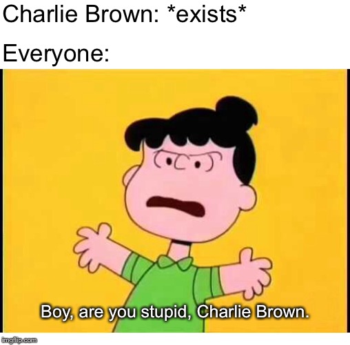 Boy, are you stupid, Charlie Brown. | Charlie Brown: *exists*; Everyone:; Boy, are you stupid, Charlie Brown. | image tagged in charlie brown,stupid,charlie brown christmas | made w/ Imgflip meme maker