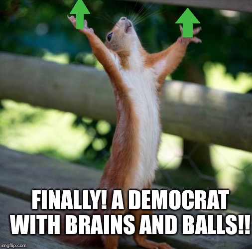 finally | FINALLY! A DEMOCRAT WITH BRAINS AND BALLS!! | image tagged in finally | made w/ Imgflip meme maker