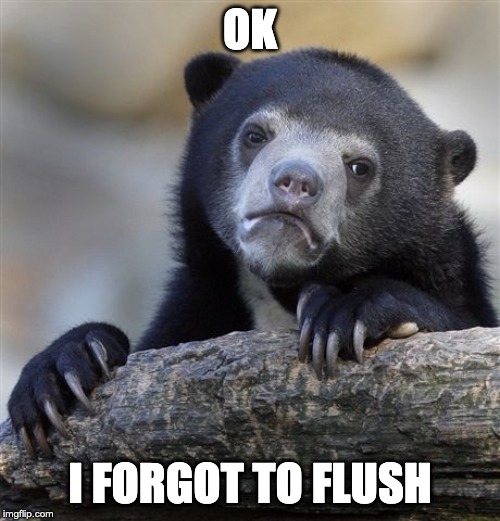 Confession Bear Meme | OK; I FORGOT TO FLUSH | image tagged in memes,confession bear | made w/ Imgflip meme maker