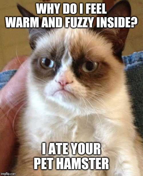 Grumpy Cat | WHY DO I FEEL WARM AND FUZZY INSIDE? I ATE YOUR PET HAMSTER | image tagged in memes,grumpy cat | made w/ Imgflip meme maker