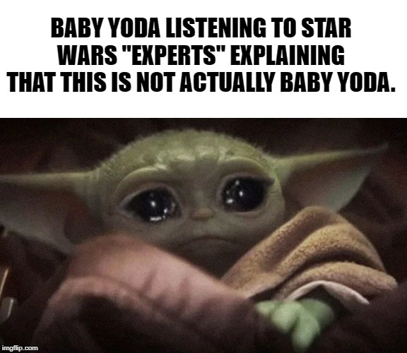 Crying Baby Yoda | BABY YODA LISTENING TO STAR WARS "EXPERTS" EXPLAINING THAT THIS IS NOT ACTUALLY BABY YODA. | image tagged in crying baby yoda | made w/ Imgflip meme maker