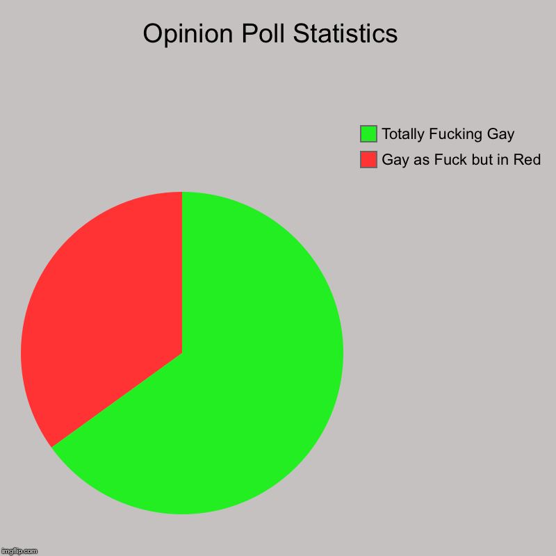 The Survey Says | Opinion Poll Statistics  | Gay as F**k but in Red , Totally F**king Gay | image tagged in charts,pie charts,gay,gay pride flag,gay jokes | made w/ Imgflip chart maker