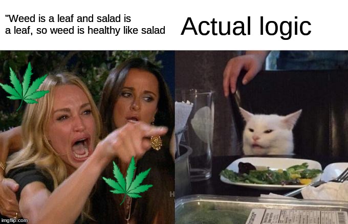 Woman Yelling At Cat | "Weed is a leaf and salad is a leaf, so weed is healthy like salad; Actual logic | image tagged in memes,woman yelling at cat | made w/ Imgflip meme maker