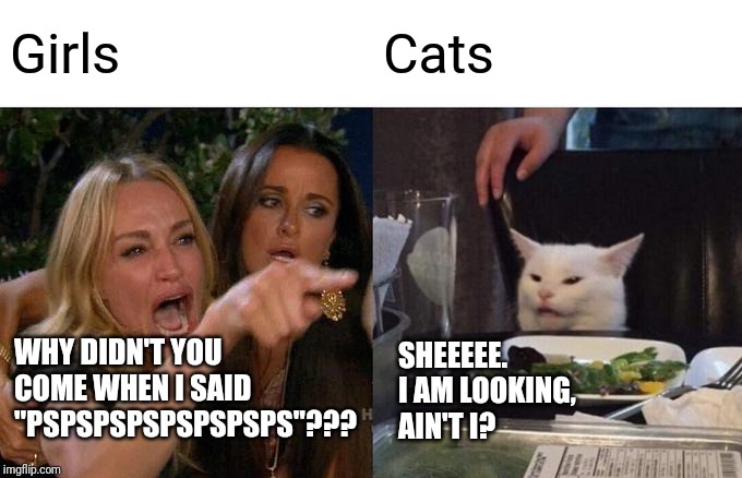 Woman Yelling At Cat | Girls; Cats; SHEEEEE. I AM LOOKING, 
AIN'T I? WHY DIDN'T YOU COME WHEN I SAID "PSPSPSPSPSPSPSPS"??? | image tagged in memes,woman yelling at cat | made w/ Imgflip meme maker