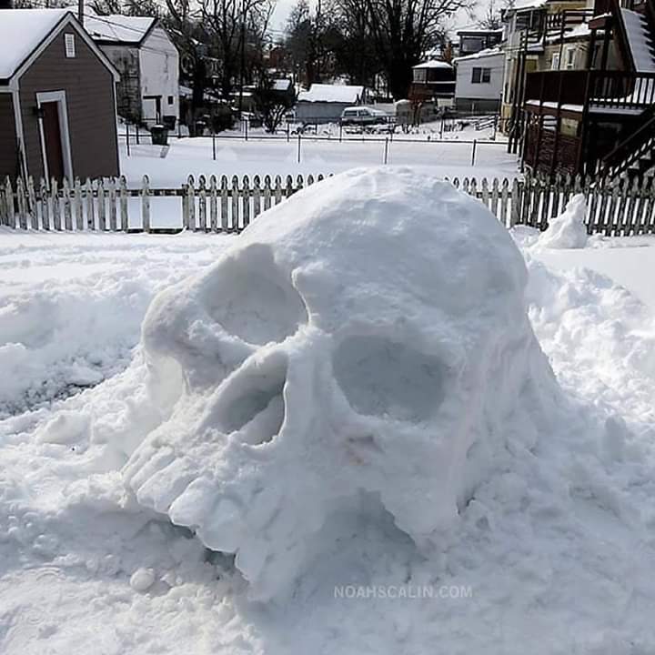 Snow Skull Blank Meme Template