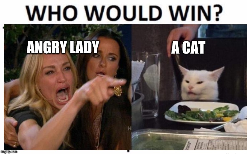 Who would win | ANGRY LADY; A CAT | image tagged in who would win,lady yelling at cat | made w/ Imgflip meme maker