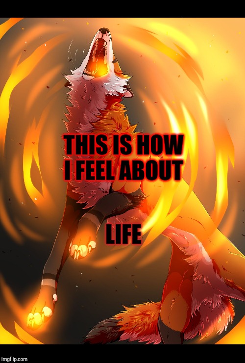 Life | THIS IS HOW I FEEL ABOUT; LIFE | image tagged in memes | made w/ Imgflip meme maker