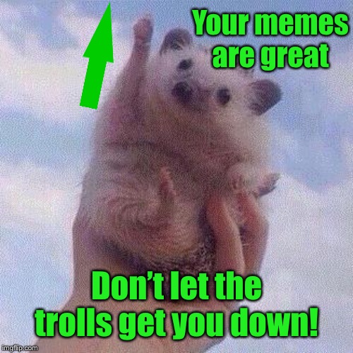 Encouraging Hedgehog | Your memes are great Don’t let the trolls get you down! | image tagged in encouraging hedgehog | made w/ Imgflip meme maker