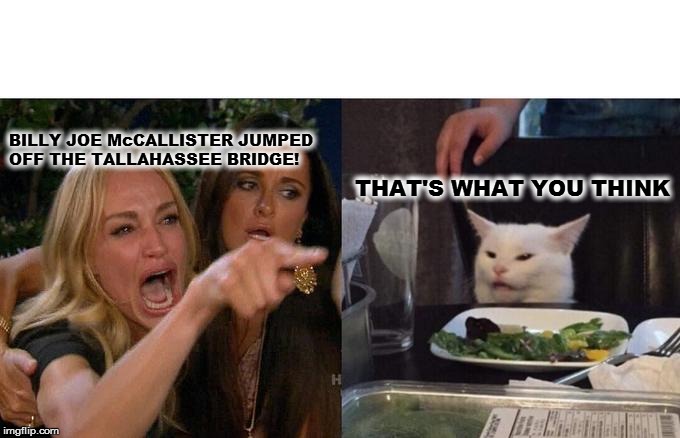 Woman Yelling At Cat Meme | BILLY JOE McCALLISTER JUMPED OFF THE TALLAHASSEE BRIDGE! THAT'S WHAT YOU THINK | image tagged in memes,woman yelling at cat | made w/ Imgflip meme maker