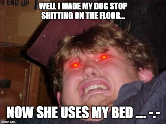 WTF | WELL I MADE MY DOG STOP SHITTING ON THE FLOOR... NOW SHE USES MY BED .... -.- | image tagged in memes,wtf | made w/ Imgflip meme maker
