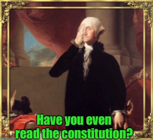 Have you even read the constitution? | made w/ Imgflip meme maker
