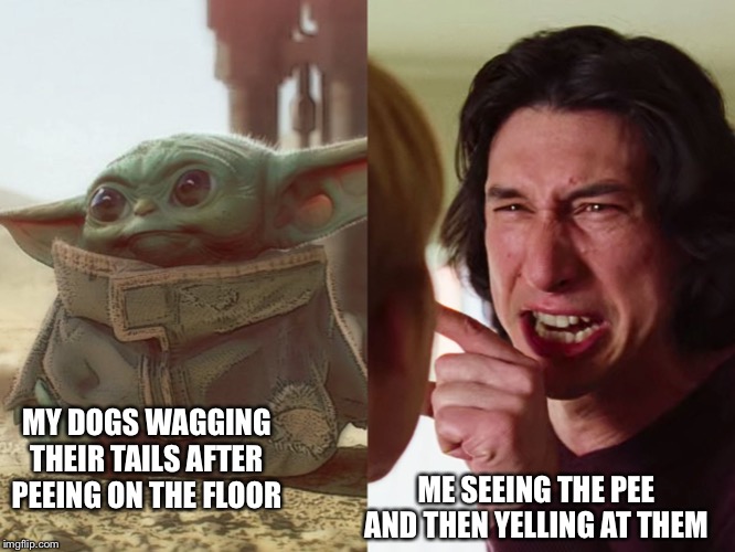 Baby Yoda Kylo | ME SEEING THE PEE AND THEN YELLING AT THEM; MY DOGS WAGGING THEIR TAILS AFTER PEEING ON THE FLOOR | image tagged in baby yoda kylo | made w/ Imgflip meme maker
