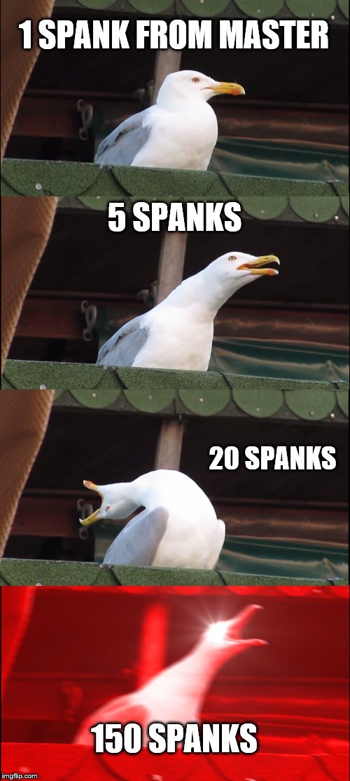 Inhaling Seagull Meme | 1 SPANK FROM MASTER; 5 SPANKS; 20 SPANKS; 150 SPANKS | image tagged in memes,inhaling seagull | made w/ Imgflip meme maker