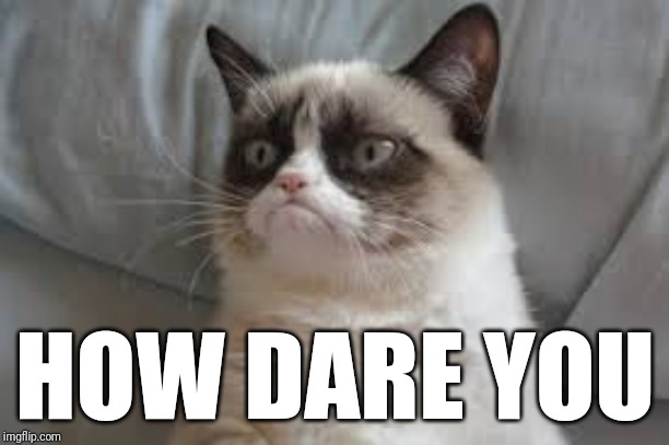 Grumpy cat | HOW DARE YOU | image tagged in grumpy cat | made w/ Imgflip meme maker