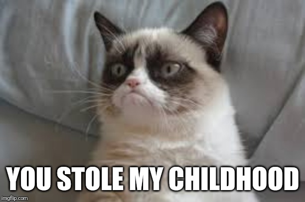 Grumpy cat | YOU STOLE MY CHILDHOOD | image tagged in grumpy cat | made w/ Imgflip meme maker
