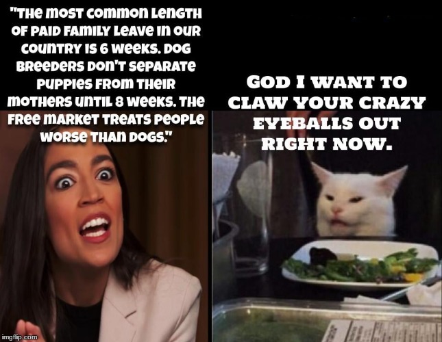 The only thing scarier than this idiot being in our government are the idiots who elected to put this brainless bimbo there | image tagged in aoc,crazy alexandria ocasio-cortez,politics,political | made w/ Imgflip meme maker