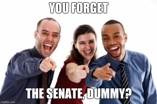 finger pointing laughing | YOU FORGET THE SENATE, DUMMY? | image tagged in finger pointing laughing | made w/ Imgflip meme maker