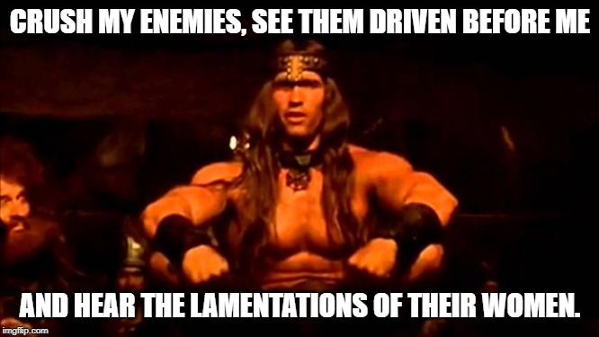 conan crush your enemies | CRUSH MY ENEMIES, SEE THEM DRIVEN BEFORE ME; AND HEAR THE LAMENTATIONS OF THEIR WOMEN. | image tagged in conan crush your enemies | made w/ Imgflip meme maker
