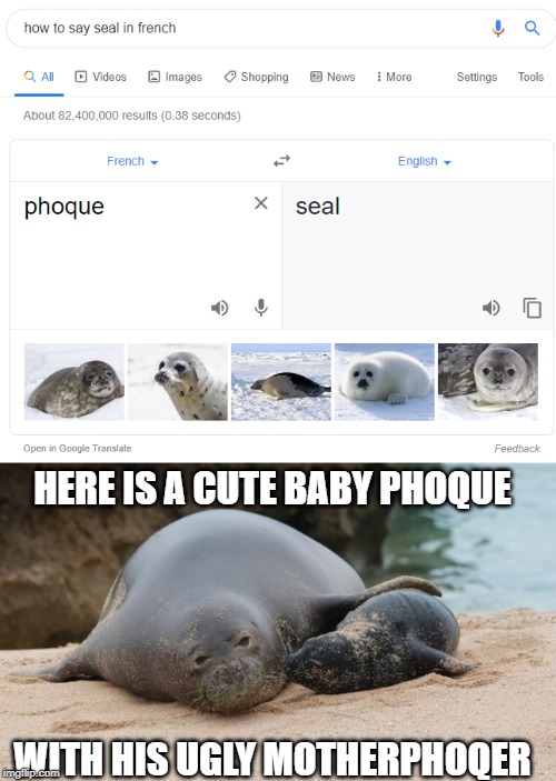 Phoque is pronounced as "fouk" which is basically the f word | HERE IS A CUTE BABY PHOQUE; WITH HIS UGLY MOTHERPHOQER | image tagged in funny,memes,seal,motherfucker,fuck,cute baby | made w/ Imgflip meme maker
