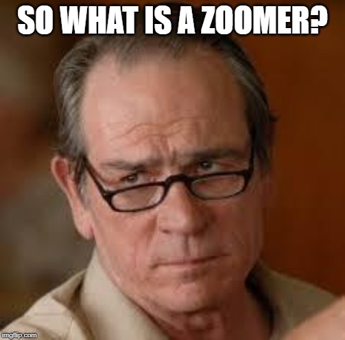 my face when someone asks a stupid question | SO WHAT IS A ZOOMER? | image tagged in my face when someone asks a stupid question | made w/ Imgflip meme maker