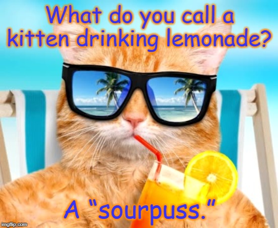 sourpuss | What do you call a kitten drinking lemonade? A “sourpuss.” | image tagged in cats | made w/ Imgflip meme maker