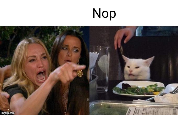 Woman Yelling At Cat Meme | Nop | image tagged in memes,woman yelling at cat | made w/ Imgflip meme maker