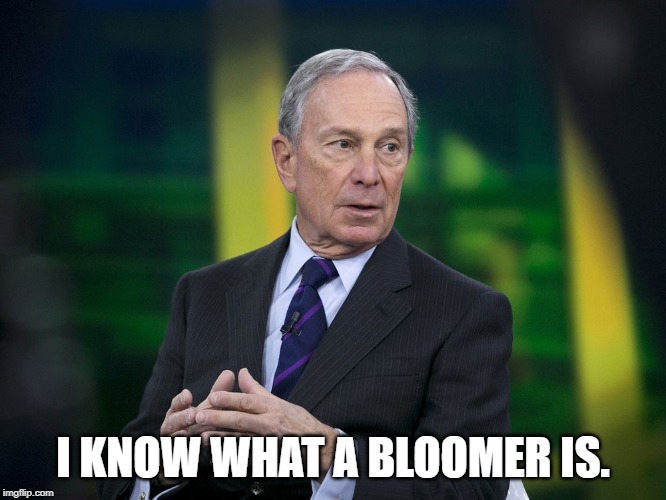OK BLOOMER | I KNOW WHAT A BLOOMER IS. | image tagged in ok bloomer | made w/ Imgflip meme maker
